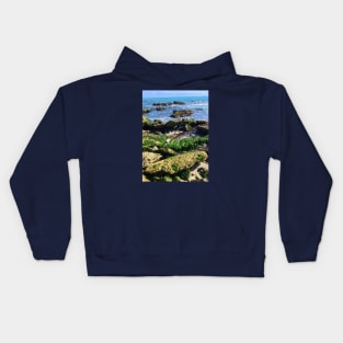 Seaweed covered rocks on the shore Kids Hoodie